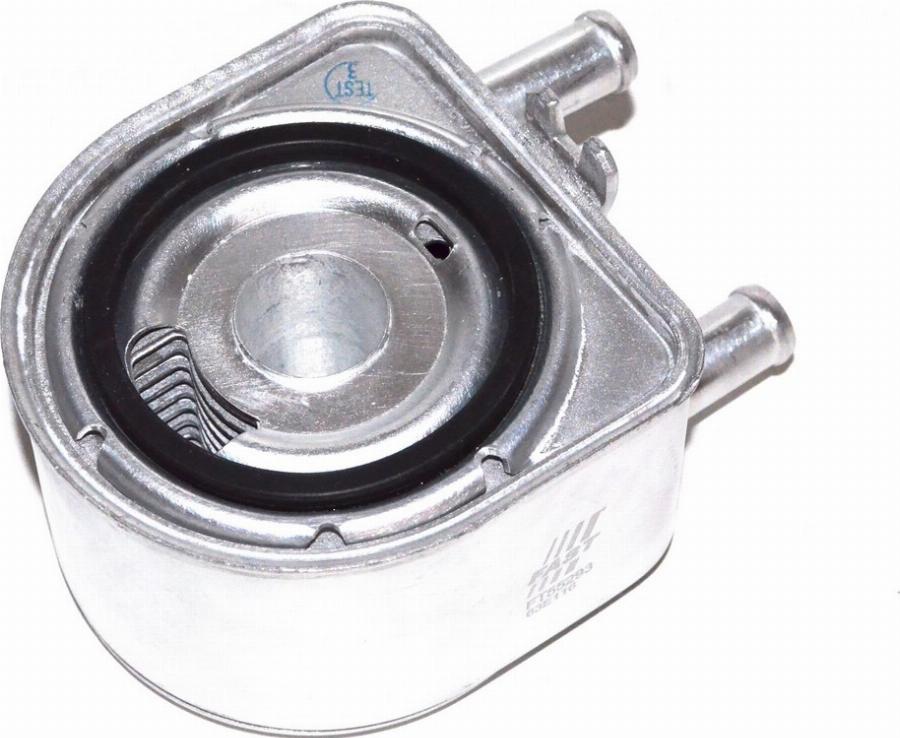 Fast FT55293 - Radiator ulei, ulei motor aaoparts.ro