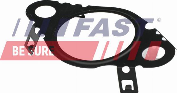 Fast FT50604 - Garnitura, ventil AGR aaoparts.ro