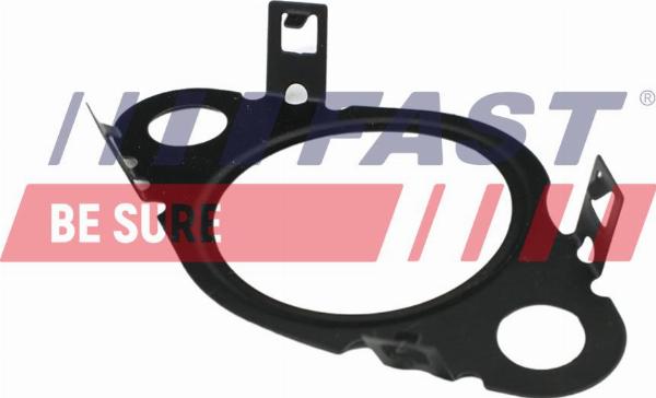 Fast FT50604 - Garnitura, ventil AGR aaoparts.ro