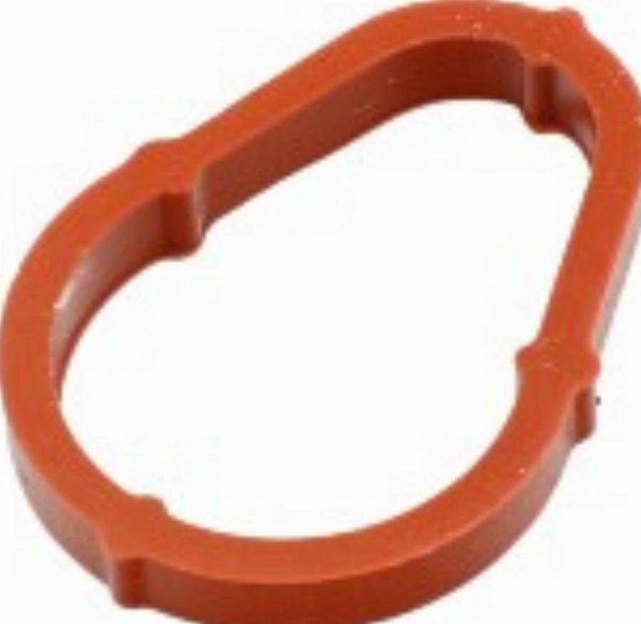 Fast FT50702 - Garnitura, pompa vacuum aaoparts.ro