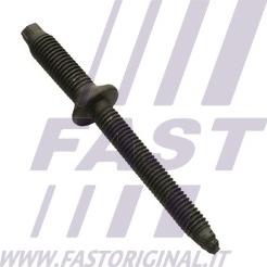 Fast FT51602 - Surub, suport injector aaoparts.ro