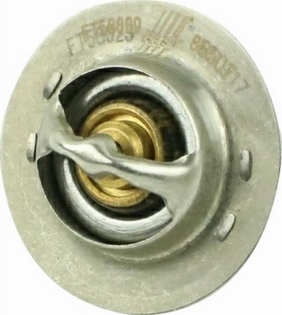 Fast FT58009 - Termostat,lichid racire aaoparts.ro