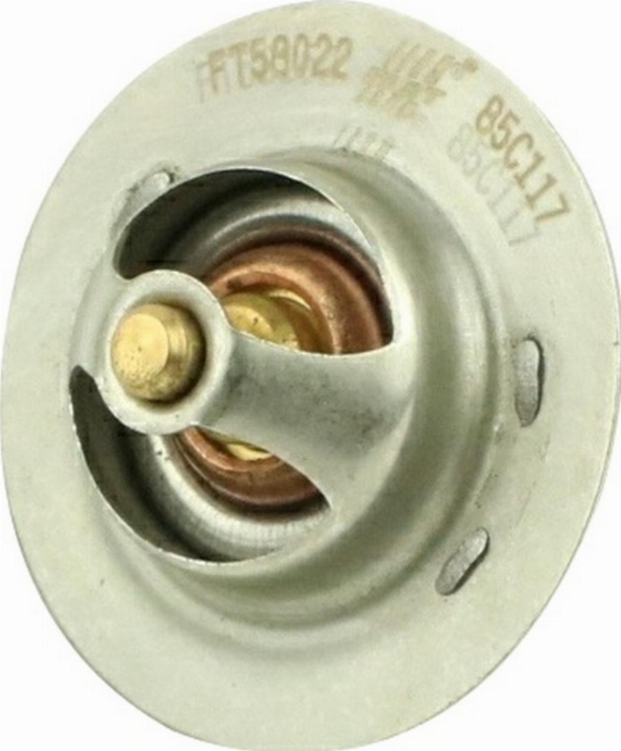 Fast FT58022 - Termostat,lichid racire aaoparts.ro