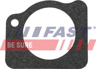 Fast FT57404 - Garnitura, pompa de apa aaoparts.ro