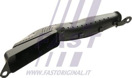 Fast FT65711 - Palnie, filtru de aer aaoparts.ro