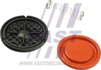 Fast FT60105 - Membrana, aerisire carcasa arbore cotit aaoparts.ro