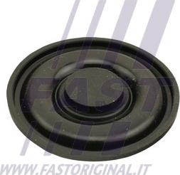 Fast FT60103 - Membrana, aerisire carcasa arbore cotit aaoparts.ro
