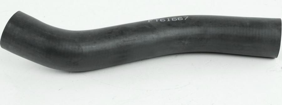 Fast FT61667 - Furtun radiator aaoparts.ro