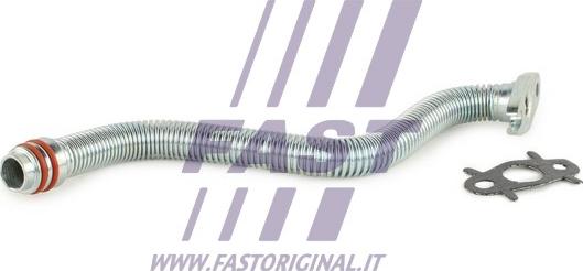 Fast FT61319 - Furtun ulei aaoparts.ro