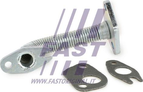 Fast FT61317 - Furtun ulei aaoparts.ro