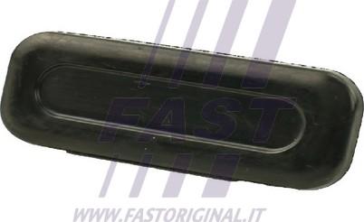 Fast FT00067 - Comutator, deschidere haion aaoparts.ro