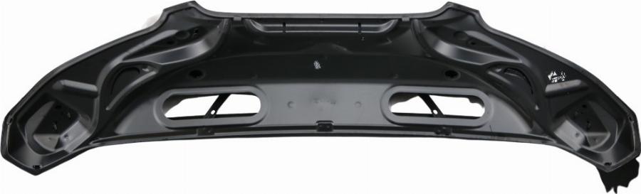 Fast FT89004 - Capota motor aaoparts.ro