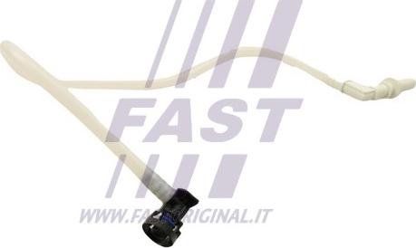 Fast FT39608 - Furtun combustibil aaoparts.ro