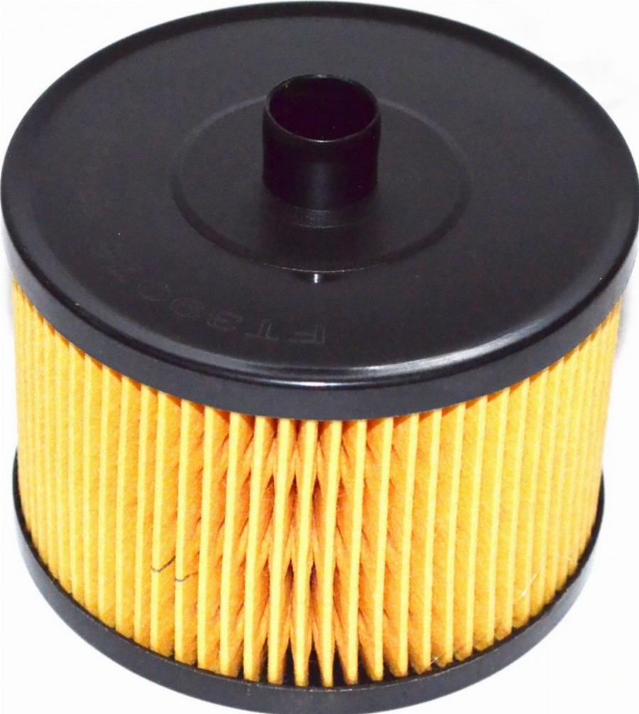 Fast FT39076 - Filtru combustibil aaoparts.ro