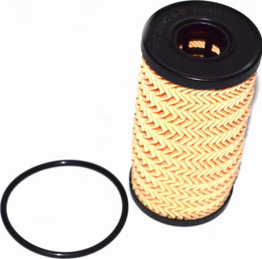 Fast FT38095 - Filtru ulei aaoparts.ro