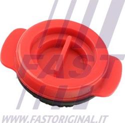 Fast FT38802 - Etansare, pompa ulei aaoparts.ro