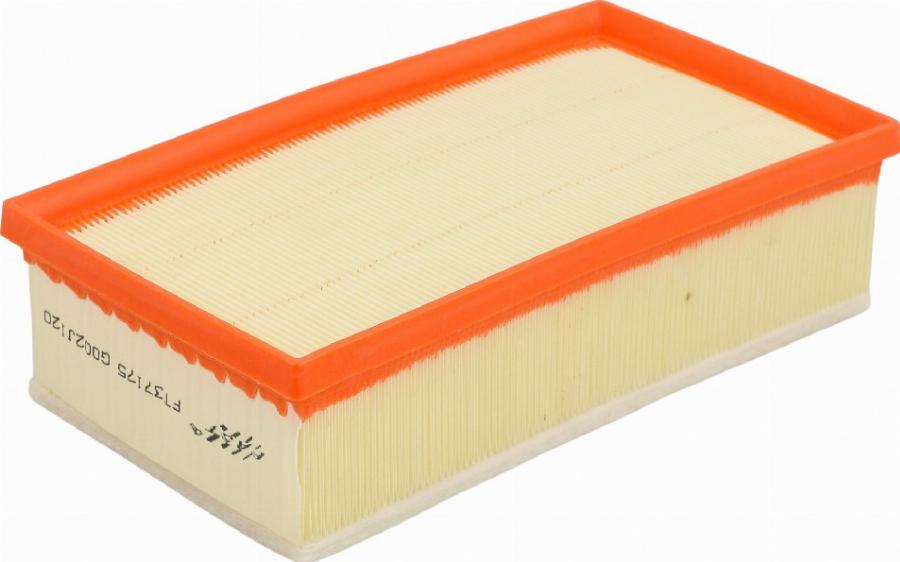 Fast FT37175 - Filtru aer aaoparts.ro