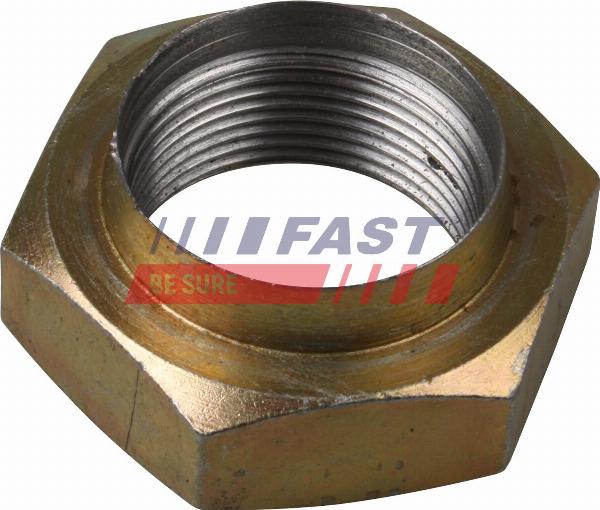 Fast FT26002 - Piulita ax, planetara aaoparts.ro