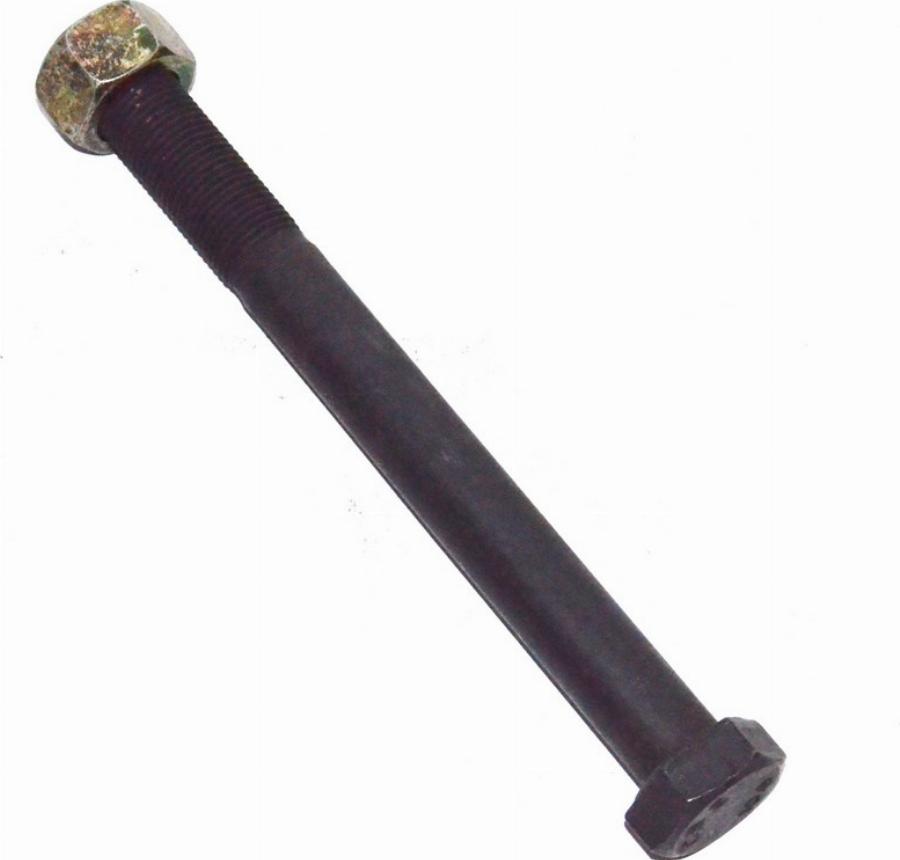 Fast FT20026 - Surub, brat oscilant aaoparts.ro