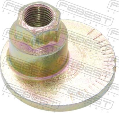 Febest 0131-002 - Nachlaufschale, corp axe aaoparts.ro