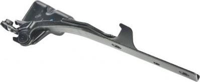 Febest 0799-JB420RH - Balama, capota motor aaoparts.ro