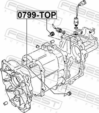 Febest 0799-TOP - Surub de golire,baia de ulei aaoparts.ro