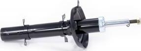 Febest 2307G-012F - Amortizor aaoparts.ro