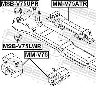 Febest MSB-V75LWR - Suport, ax aaoparts.ro