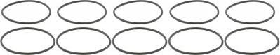 Febest RINGOL-053-PCS10 - Garnitura, pompa vacuum aaoparts.ro