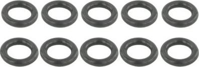 Febest RINGOL-057-PCS10 - Garnitura, distributie aaoparts.ro