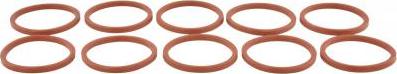 Febest RINGOL-066-PCS10 - Etansare, racire ulei aaoparts.ro