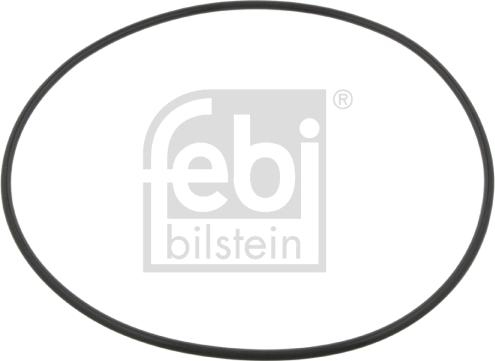 Febi Bilstein 09923 - Inel de etansare,butuc roata aaoparts.ro