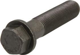 Febi Bilstein 06076 - Surub volanta aaoparts.ro