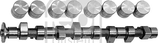 Febi Bilstein 03131 - Set ax cu came aaoparts.ro