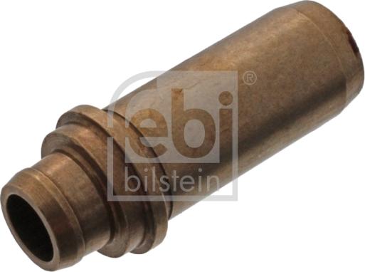 Febi Bilstein 10667 - Ghid supapa aaoparts.ro