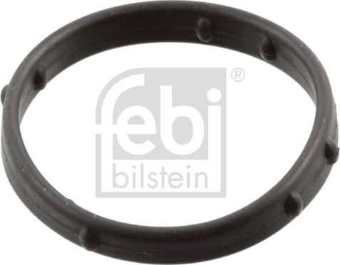 Febi Bilstein 101006 - Garnitura, capac supape aaoparts.ro