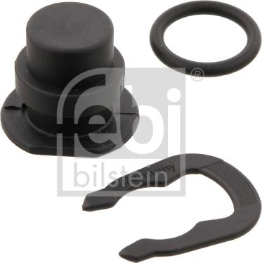 Febi Bilstein 12428 - Capac,flansa sistem de racire aaoparts.ro