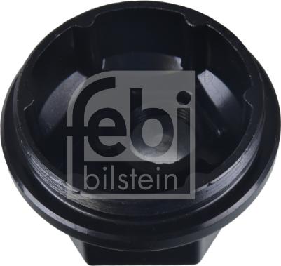 Febi Bilstein 172480 - Capac,rulment roata aaoparts.ro