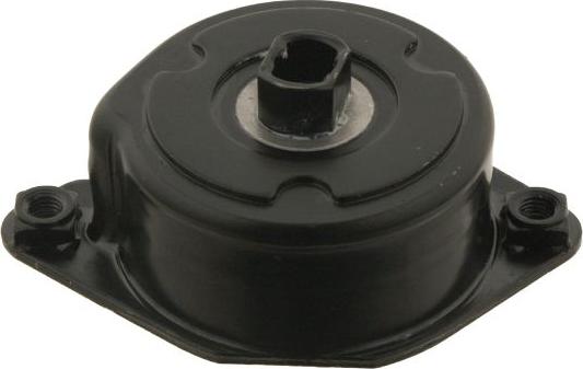 Febi Bilstein 30117 - Intinzator curea, curea distributie aaoparts.ro