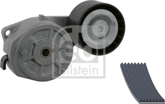 Febi Bilstein 31625 - Set curea transmisie cu caneluri aaoparts.ro