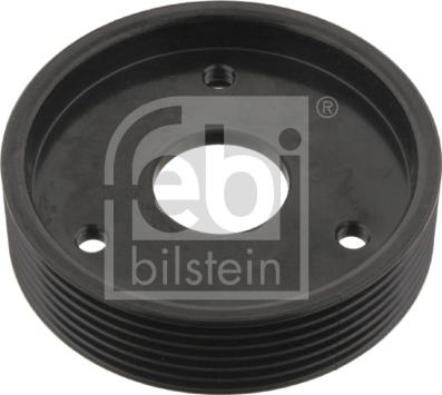 Febi Bilstein 29501 - Fulie, pompa servo aaoparts.ro