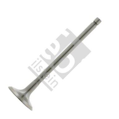 Febi Bilstein 26031 - Supapa admisie aaoparts.ro
