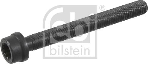 Febi Bilstein 22030 - Surub chiulasa aaoparts.ro