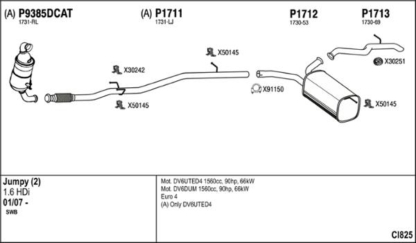 Fenno CI825 - Sistem de esapament aaoparts.ro