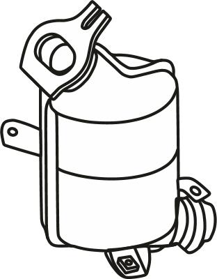 Fenno P8117CAT - Catalizator aaoparts.ro