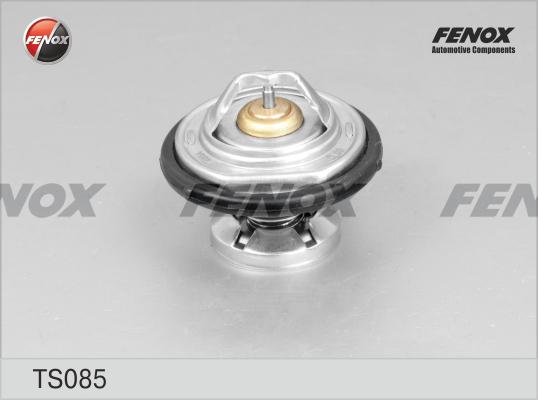 Fenox TS085 - Termostat,lichid racire aaoparts.ro