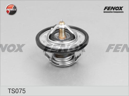 Fenox TS075 - Termostat,lichid racire aaoparts.ro