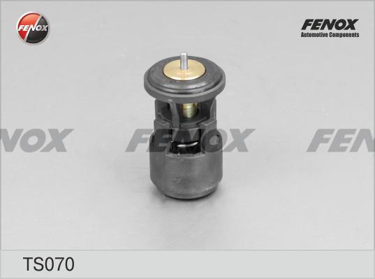 Fenox TS070 - Termostat,lichid racire aaoparts.ro