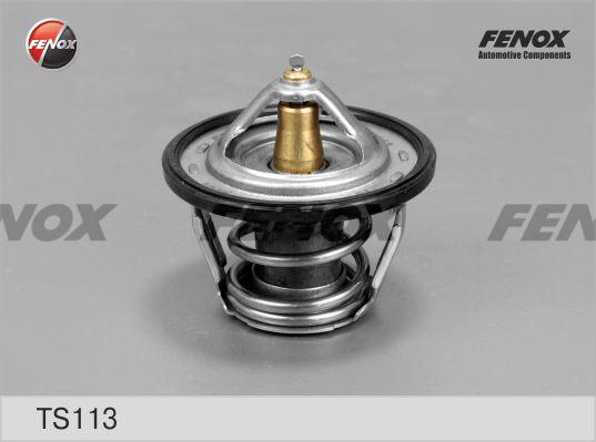 Fenox TS113 - Termostat,lichid racire aaoparts.ro