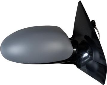 FERRON 11FD42001G - Oglinda exterioara aaoparts.ro